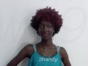 Shandy