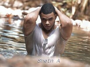 Shein_A