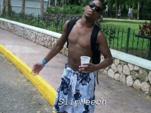 SlimMeech