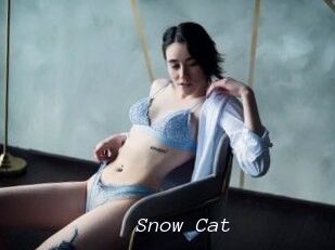 Snow_Cat