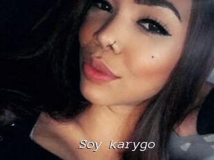 Soy_karygo