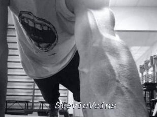 StevieVeins