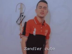 Sandler_cute