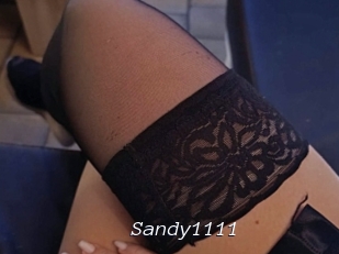 Sandy1111