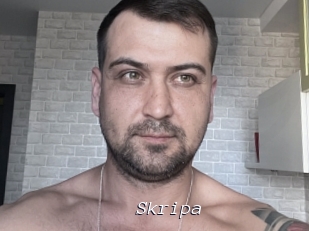 Skripa