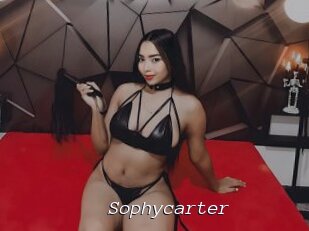 Sophycarter