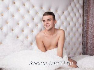 Sosexykarllfu