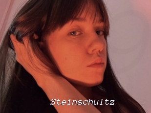 Steinschultz