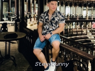 Stevebunny