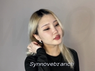 Synnovebranch