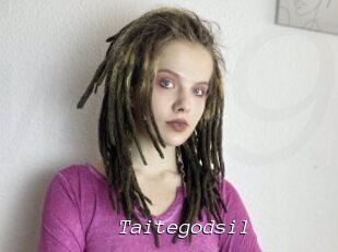 Taitegodsil