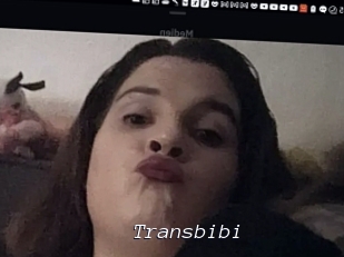 Transbibi