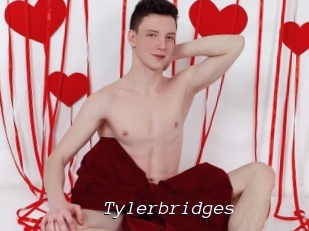 Tylerbridges