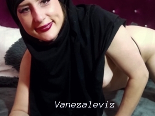 Vanezaleviz