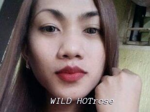 WILD_HOTrose