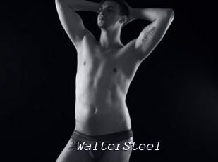 WalterSteel