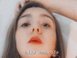 Wild_Amapola