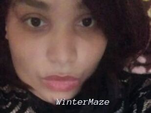 Winter_Maze