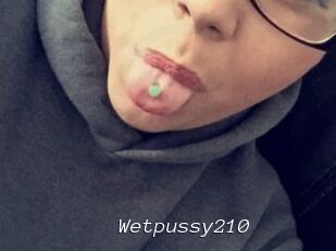 Wetpussy210