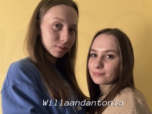 Willaandantonia