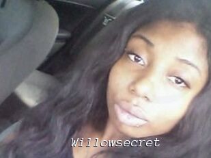 Willow_secret