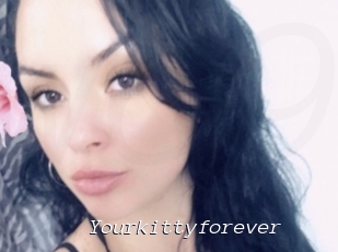 Yourkittyforever