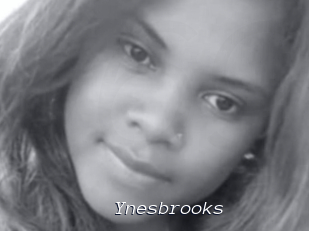 Ynesbrooks