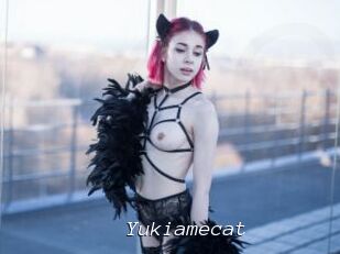 Yukiamecat