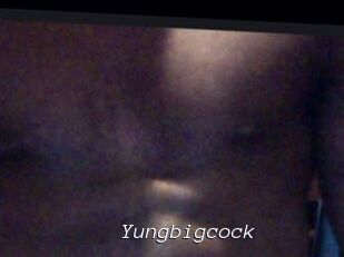 Yungbigcock